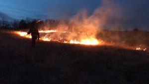 Incendiile de vegetație, o problemă pentru autorități! Pompierii s-au luptat cu focul în weekend pe zeci de hectare de pe raza a 12 localități buzoiene