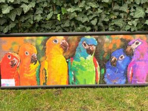 Cine colorează Spitalul Județean de Urgență Buzău, săptămâna viitoare