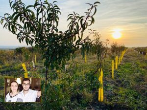 Cum a fost transformată o poveste din copilărie în afacere de succes pe terenul bunicilor de la Greceanca