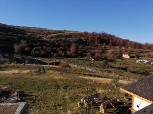FOTO | 1,5 hectare teren împădurite în Satul Dacic