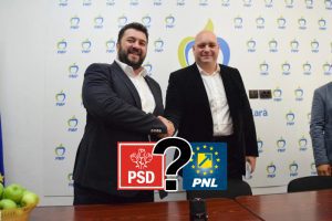 Ce partide pierd la Buzău câte un mandat dacă Mocanu și Bădulescu ajung din nou parlamentari