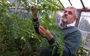Pe cine schimba ministrul Agriculturii din funcția de director al Băncii de gene / Cercetătorul Costel Vînătoru, premiat de Academia de Științe Agricole și Silvice ,,Gheorghe Ionescu-Șișești”