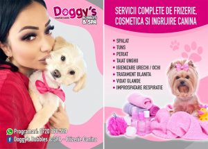 FOTO | Doggy’s bubbles & SPA, servicii profesionale pentru prietenii blanosi