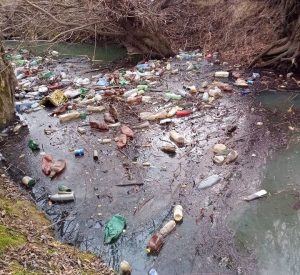 Buzoienii, chemați să participe la o acțiune de ecologizare în zona pârâului Sibiciu