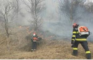 Incendiu de proporții în zona localității Coca Antimirești stins după cinci ore de intervenție a pompierilor militari