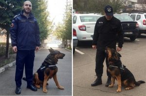 VIDEO | Povestea lui Rik, ciobănescul german „moștenit” de fiul agentului alături de care a făcut carieră în Poliția buzoiană