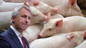 Fostul senator de Buzău Teodorovici a renunțat la cariera de bugetar: a intrat într-o afacere cu porci